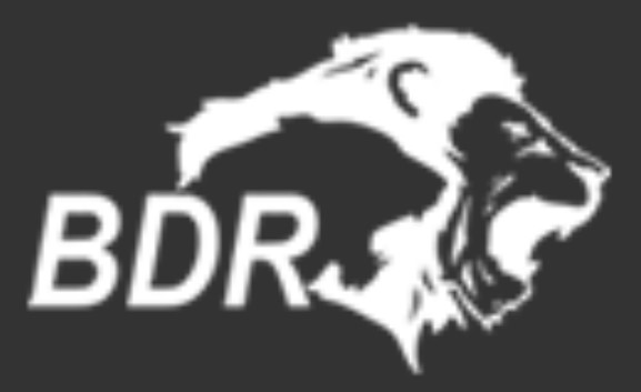 BDR Pharmaceuticals International